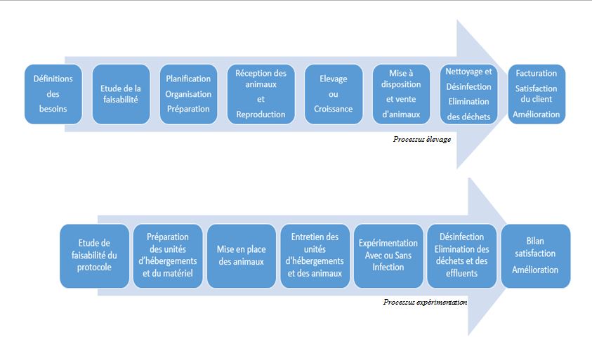 processus elevage experimentation IERP